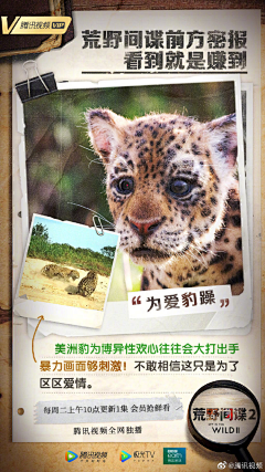 静秋秋闻采集到频道