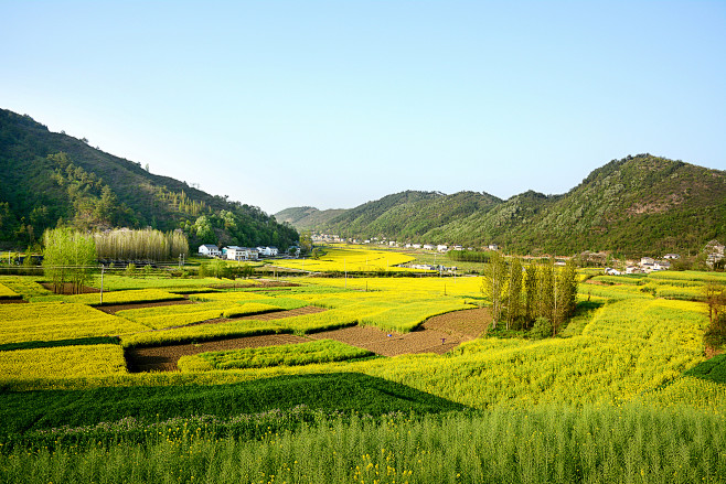 农田 田园 风景