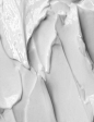 white | weiß | blanc | bianco | blanco | λευκό | белый | सफेद | ホワイト| 白 | pale | color | colors | texture | textures | -----> Like to relax not only visually? Try ASMR ... and visit ... https://www.youtube.com/channel/UCBNHxodKKw1TnoGJogFApTA/videos