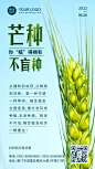 芒种节气营销服务展示