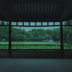 兰蓝樱采集到家居.居家.庭院