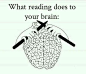 你的大脑正在阅读