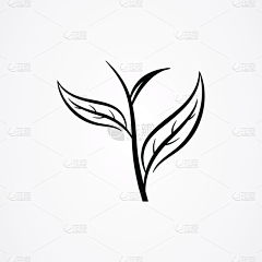 努比鼠采集到版