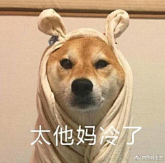 郁郁不得眠采集到表情包