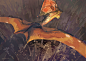 )S_2CZN_EHV$]%{T%8P89RO