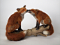 Finally finished and I’m really pleased with how these have turned out. Loving foxes more by the minute, there are more on the way! ...
...
#needlefelting #foxsculpture #foxesofinstagram #fox #wildlifeart #wildlife #nature #britishwildlife #woolsculpture 