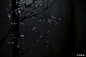 6539d75eed1fa64fe5b30b58cbb2098