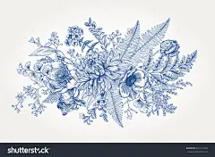 海洛创意素材代下·加微信免费送···微信alisa5201995