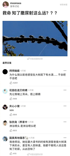 罪恶克星！采集到3