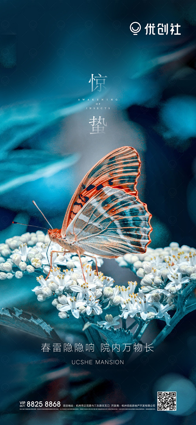 kanun从影游转采于2021-04-30 15:44:44蝴蝶二十四节气惊蛰节日节气