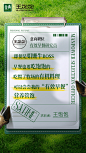 @金典SATINE 的个人主页 - 微博