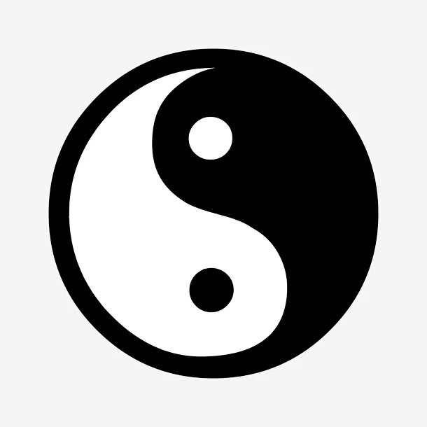 太极八卦矢量图标矢量图标 太极 八卦 圆 太极图 八卦图 图标 背景 标志图标 其他图标 png免抠图片 设计素材 88icon图标免费下载-花瓣网