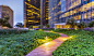 Bank of America Tower - OJB