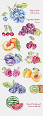 水粉 手绘 水果 葡萄 西瓜 桃子 装饰 印刷插图 PSD＋PNG免抠素材 P87 #包装#