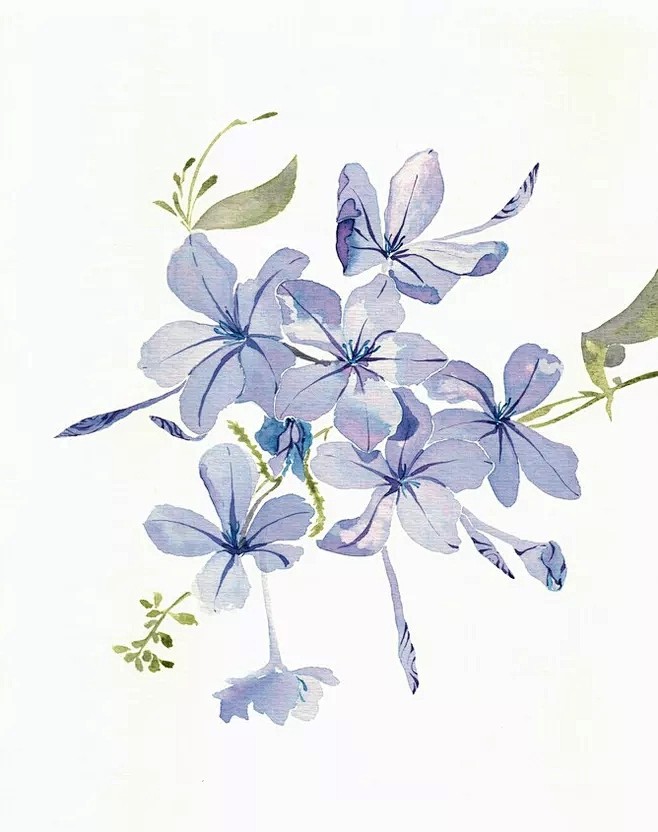 紫色花卉水彩ins风小清新水彩画