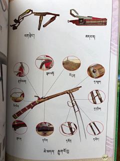 江阳采集到藏甲