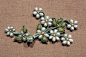 盘扣，也称为盘纽，是传统中国服装使用的一种纽扣，用来固定衣襟或装饰。其实盘扣也是中国结的一种，是中国古代服饰演变不可或缺的一大亮点。盘扣的扣子是用称为“袢条”的折叠缝纫的布料细条编织而成。