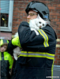 被消防员救出的猫，眼神已说明了一切