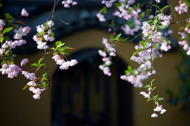 花谢花飞花满天，红消香断有谁怜。