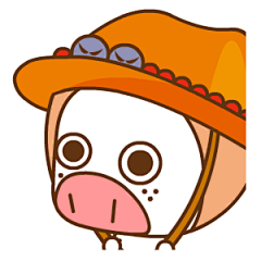 悠闲帽帽猪微信表情包合集