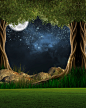 圆月星空树林背景图片