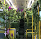 台北森林主题巴士 将大自然的美送进你的生活
