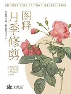 月季修剪图释封面
