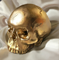 GOLDEN SKULL STUDY & painting process, Daphne Gragera : Golden Skull study
reference photo from: https://www.etsy.com/listing/159549240/human-skull-replica-gold-finish-full?ref=market