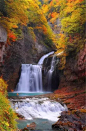 深秋的溪水瀑布，惊艳绝美（2）(CB257)