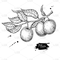 摇呀摇~~采集到茶叶
