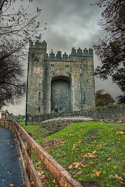 中世纪，本拉提城堡，香农，爱尔兰