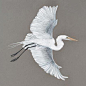 Online Shop — Birds in Flight — Egret