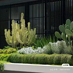 沙生花境2