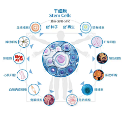 冰棍蓝糖采集到五维