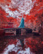 日本红叶季。 ​​​