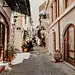 liza-rusalskaya-0gqcBEe2rv8-unsplash
