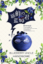 创意蓝莓
