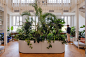 Miro Campus | Amsterdam - Moss Amsterdam