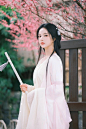 樱花如约而至，如你一般珍贵_2_甜甜小宁宝_来自小红书网页版