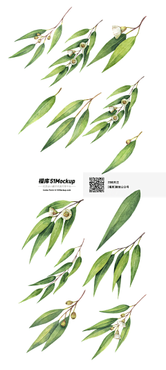 JW-TAN采集到素材-插画