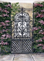 Charleston gates-and-doorways