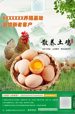 散养土鸡海报 【酷图网】散养土鸡,土鸡,海报设计,回馈新老客户,土鸡海报