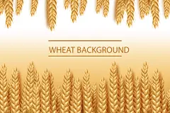 水稻麦田风景插画