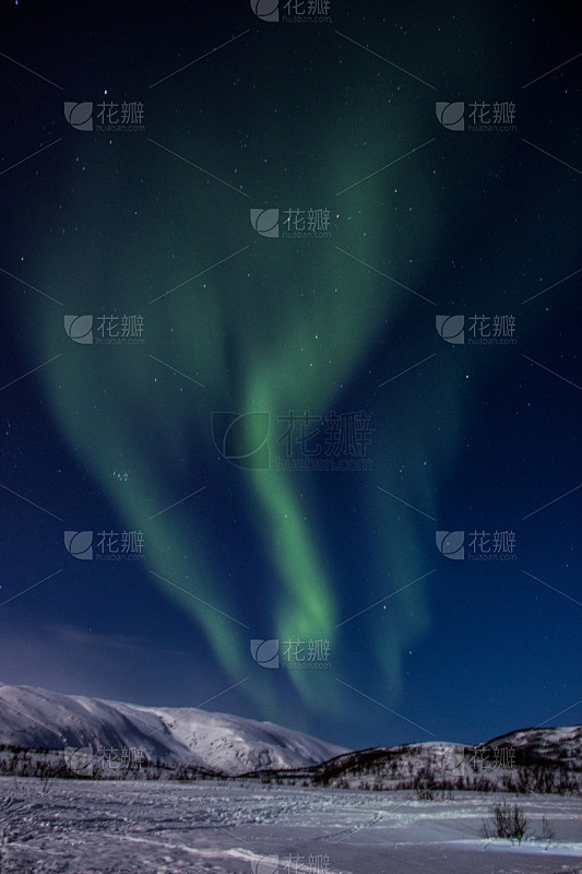 雪,北极光,挪威,地形,垂直画幅,绿色,...