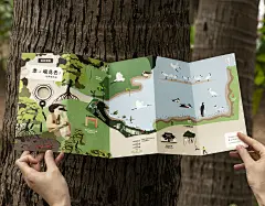 世界候鸟日-观候鸟折页及海报-古田路9号-品牌创意/版权保护平台