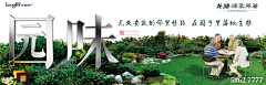 Aaa专业饼干抛光采集到D - 横版