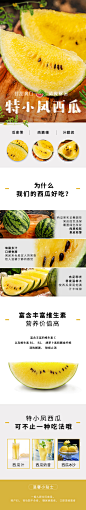 特小凤西瓜