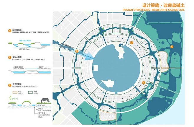 临港二环带公园，上海 / Sasaki ...