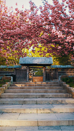 花锦城采集到唯美景、不可辜负°