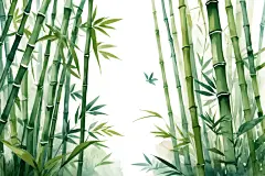 植物插画中国风竹子竹林自然风景插画